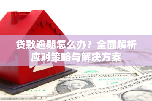 连云贷款逾期怎么办？全面解析应对策略与解决方案