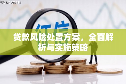 顺平贷款风险处置方案，全面解析与实施策略