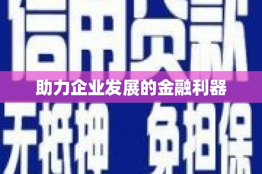 玛家助力企业发展的金融利器