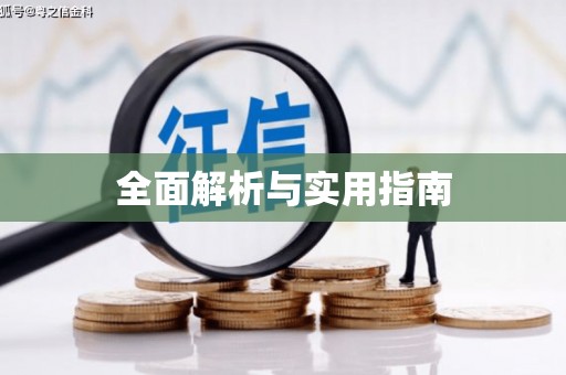 武川全面解析与实用指南