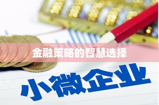 勐海金融策略的智慧选择