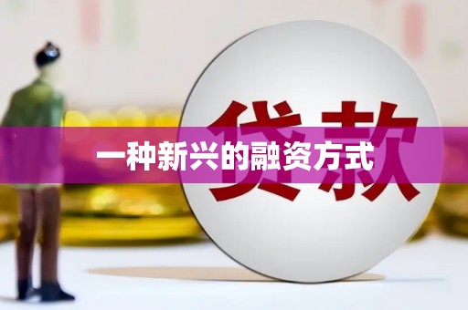 谢通门一种新兴的融资方式