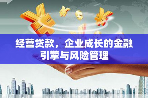 鹤庆经营贷款，企业成长的金融引擎与风险管理